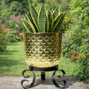 Royal Bloom Scallop Metal Planter