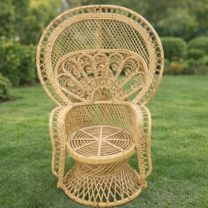 Heritage Weave Peacock Chair